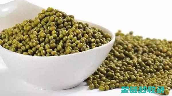 快速煮豆