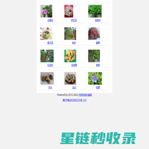 中药药用价值网